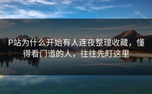 P站为什么开始有人连夜整理收藏，懂得看门道的人，往往先盯这里