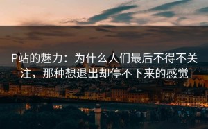 P站的魅力：为什么人们最后不得不关注，那种想退出却停不下来的感觉