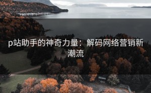 p站助手的神奇力量：解码网络营销新潮流