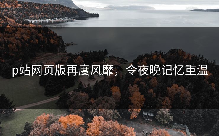 p站网页版再度风靡,令夜晚记忆重温 p站网页版再度风靡,令夜晚记忆重温