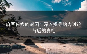 麻豆传媒的谜团：深入探寻站内讨论背后的真相