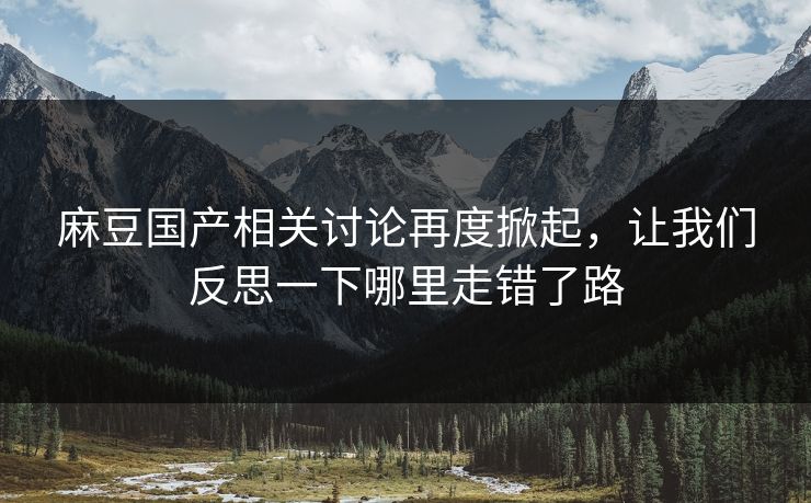 麻豆国产相关讨论再度掀起,让我们反思一下哪里走错了路 麻豆国产相关讨论再度掀起,让我们反思一下哪里走错了路